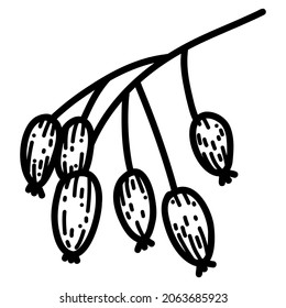 Vector illustration of rose hip in doodle hand-drawn style