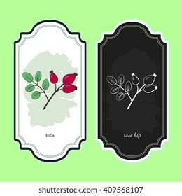Vector illustration rose hip. Medicinal berry.For traditional medicine, gardening or cooking design, package. Flyer or banner template