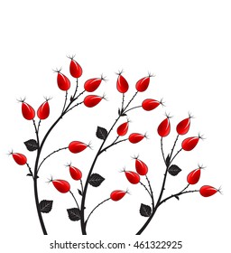 Vector illustration rose hip, silhouette autumn bush