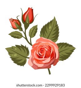 Vector Illustration of Rose with leaves
