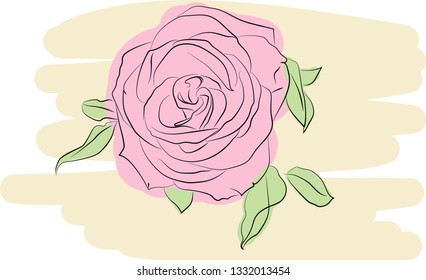 vector illustration of a rose with leaves. suitable for postcard, background or as a separate element
