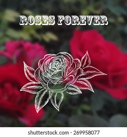 vector illustration of rose on blur background with roses and label "roses forever"