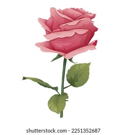 Ilustración vectorial de una rosa sobre un fondo aislado. Flor rosada con hojas. Regalo para el día de San Valentín, vacaciones, romance. ilustración de primavera