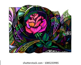 vector illustration of rose and ornament