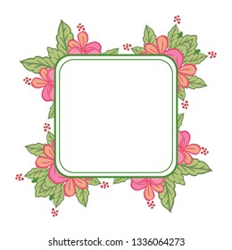 Vector illustration rose pink flower frames blooms hand drawn