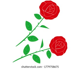 Vector illustration of a rose. Red rose