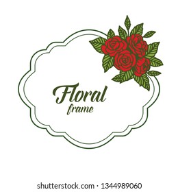 Vector illustration rose red floral frames isolated white backdrop hand drawn