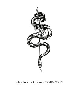 vector illustration of a rose with a snake