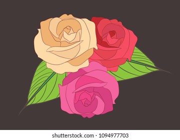 Vector and illustration of rose with spiral background.