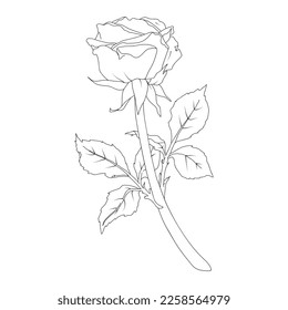Ilustración vectorial de una rosa con tallo y hojas en estilo de arte de línea. Flor dibujada a mano. Para el diseño de pegatinas, invitaciones de boda, papel, tarjetas de felicitación, estampados de ropa.