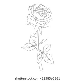 Ilustración vectorial de una rosa con tallo y hojas en estilo de arte de línea. Flor dibujada a mano. Para el diseño de pegatinas, invitaciones de boda, papel, tarjetas de felicitación, estampados de ropa.