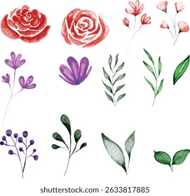Vector illustration of a rose, Watercolor rose set perfect for wedding invitations, greeting cards, social media graphics, branding, and other creative projects