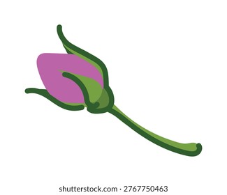 Vector illustration of a rosebud in a flat style. Damask rose is a source of aromatic oils and extracts for cosmetics and perfumes. Persian rose is added to herbal teas in China, India, and Morocco.