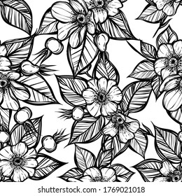 Vector illustration. Rosehip flowers, card for you, line art style, Handmade, light  background, seamless pattern