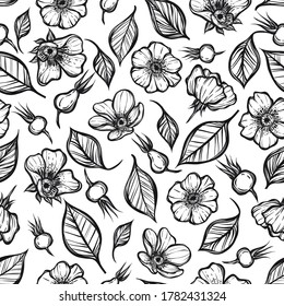 Vektorgrafik. Rosship-Blumen, handgefertigt, Karte für Sie, Line Art-Style, heller Hintergrund, nahtloses Muster