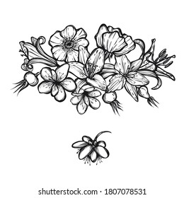 Vector illustration. Rosehip flowers, lilies, cherry flowers, Handmade, card for you