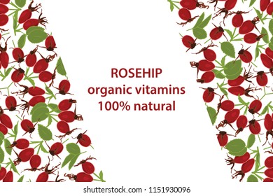 vector illustration of rosehip and leaf design background white and berry and text organic vitamins 100% natural EPS10