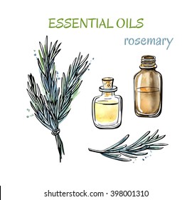 Vector Illustration Of Rosemary Essential Oils. Herbs, Flasks And Bottles. Set Of Hand Drawn Objects Isolated On White Background. Black Outline And Watercolor Stains And Drips.