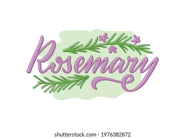 Vector illustration of rosemary lettering for packages, product design, banner, spice shop  price lists. Handwritten word with leaves and flowers for web or print
