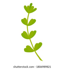 Vector illustration: rosemary. Spring flower isolated on white background. Illustration for wedding design, greeting card.
