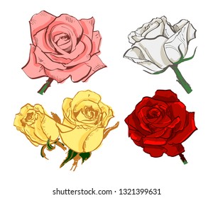 vector illustration roses