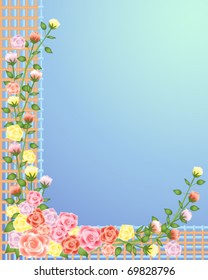 vector illustration of roses growing on a wooden trellis in summertime in eps 10 format