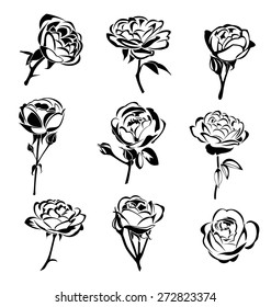 Vector illustration of  roses silhouette