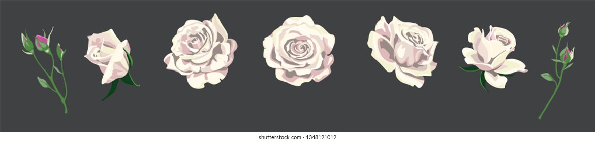 Vector Illustration of Roses Wedding Card for Design, Website, Background, Banner. Hand drawn flower Elements. Vintage Save the date Template