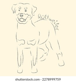 Vector illustration of the Rottweiler breed in full growth with the inscription. Gray stylized sloppy freehand graphic drawing, isolated object, sketch on a beige background.