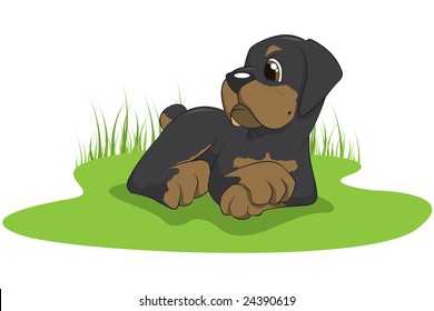 Vector illustration of a rottweiler puppy