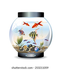 Vector illustration of round aquarium with fishes, pebbles and water plants