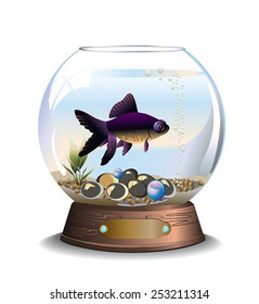 Vector illustration of round aquarium with telescope eye fish, pebbles and water plant