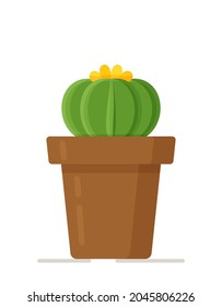 Vector illustration of a round flower isolated cactus in a pot. Indoor plants in pots. Cacti, ivy in pots on ropes. 