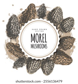 Vector illustration of a round frame with a border of morel mushrooms. Hand-drawn organic vegetarian mushroom. Suitable for a label or a postcard. Design template with space for text.