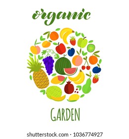Vector illustration of round fruits composition and  brush lettering Organic Garden for print, poster, card, decoration