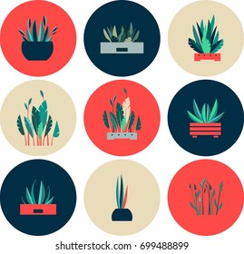 Vector illustration of round shape icons of indoor flowers gardening
