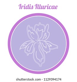 Vector illustration a round sticker with line art flower 

