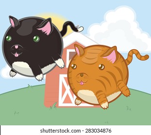 A vector illustration of round, stubby-legged cat characters.  Includes a black and white cat and an orange and off-white tabby.