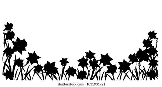 vector illustration of a row of flowers, black silhouette of a daffodil on a white background