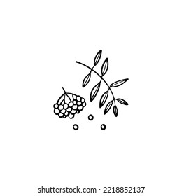 Vector illustration. Rowanberries isolated on white background.