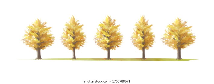 Vector illustration. Rows of golden yellow ginkgo trees. Hand painted watercolor background.