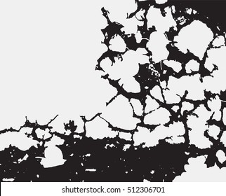 Vector illustration. ruin, crack, desolation.
Black and white grunge background. Texture for your design
