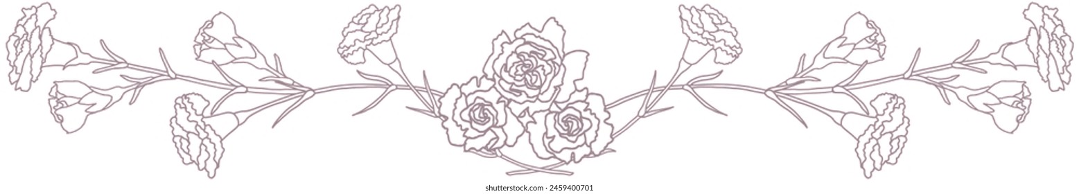 Vector illustration of ruled carnation