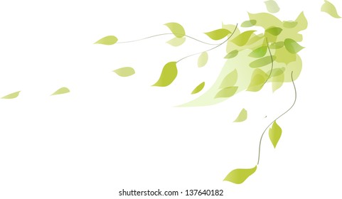 Vector illustration of a runner plant