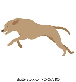 vector illustration of running dog