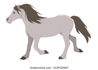 vector illustration of a running gray pony isolated on a white background