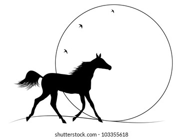 vector illustration of running horse against sunset
