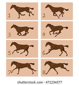 Ilustración vectorial de la animación del caballo en marcha