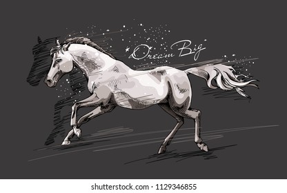 Vector illustration. Running Horse on a space background. Dream big - lettering quote. Poster, hand drawn style print.