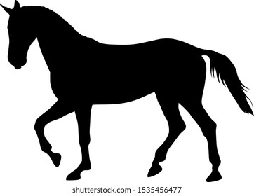 Vector illustration of running horse silhouette